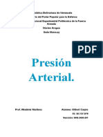 Presion Arterial Ensayo