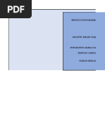 Proyecto Integrador Estadistica