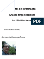 Aula 1 - Análise Organizacional