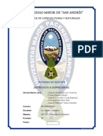 Informe-INF 141