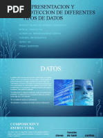 Representacion y Proteccion de Diferentes Tipos de Datos