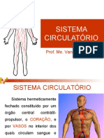 Sistema Circulatório