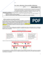 Guía Contenidos para Segunda Evaluación Ciencias