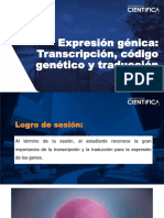 Semana3 Sesión5 TEO Transcripción, Código Genético y Traducción