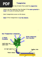 6 Transpiration Presentation