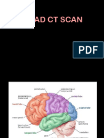 Head CT Scan PDF