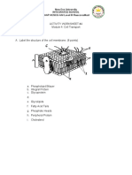 Activity Worksheet #4 Module 4: Cell Transport