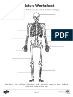 Skeleton Worksheet