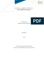 Fase 2. Selene. Estrategia y Gobierno Corporativo.