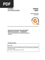 OHSAS 18001-2007 - Español - V2 COMPLETO