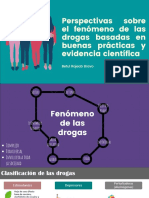 Betul Rojeab, Perspectivas Sobre El Fenómeno de Las Drogas Basadas en Buenas Práctivas y Evidencia Científica