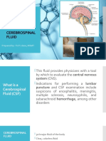 Cerebrospinal Fluid: Prepared By: Fe P. Lleno, MSMT