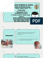 Alteraciones de La Hemodinámica Cerebral