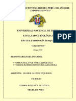 Informe 14-Angiospermas