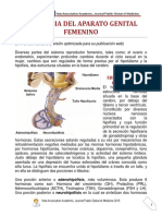 Fisiologia Del Aparato Genital Femenino