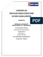 A Report On The Sales Force Structure of HDFC Bank Limited