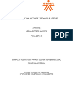 Mapa Conceptual Sotware y Servicios de Internet