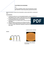 Práctica 3 - Examen en Fresco de Levaduras