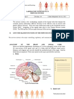 Laboratory Exercise No. 8 Nervous System