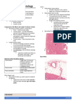 Cardiovascular Histology: Circulatory System: Generalities