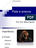 Pele e Anexos