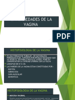 4 Clase - Patologias de La Vagina