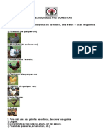 Especialidade de Aves Domésticas