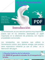 Industria de La Fermentación Láctica