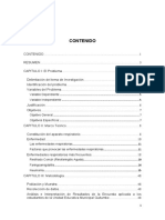 Monografia Enfermedades Respiratorias Agudas Completa