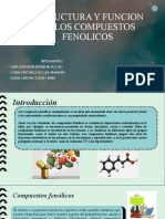 Estructura y Funcion de Los Compuestos Fenolicos