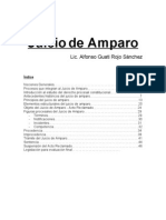 Temario de Juicio de Amparo