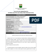 FORMATO Informe de Consultoria Organizacional - Calzado Carvic V3