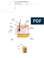 Ficha de Activiadad N°01