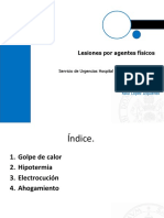 Lesiones Por Agentes Físicos