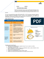 14.06.21 - Charla - Proteccion para La Cabeza