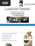 Luxación Patelar