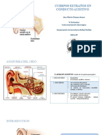 Cuerpos Extraños en Conducto Auditivo