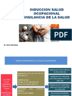 Inducción Salud Ocupacional Icc