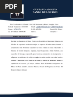 CV - Gustavo A. Banda de Los Rios 2021 - Documentado Actualizado