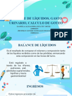 Balance de Liquidos