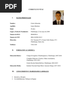 PDF Documento