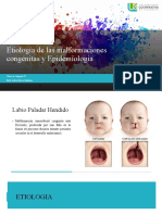 Etiologia y Epidemiologia LPH Ortopedia