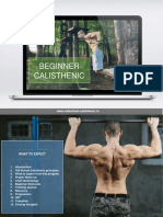 Beginner Calisthenic S: WWW - Oldschool-Calisthenic