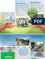 TRIPTICO 1 Educacion Ambiental PRACTICA 3