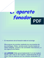 Aparato Fonador 2