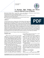 Hashim-8: A Short Duration, High Yielding and Disease Resistant Wheat Variety For Rain-Fed Areas of Pakistan