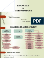 Branches Anthropology: Prepared For