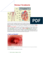 1 - Nro 1 - Sistema Circulatorio