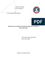 Caso Individual de Gestión de Proyectos