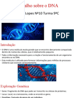 Trabalho Sobre o DNA